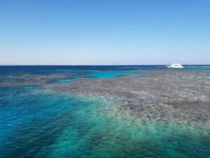 Mehr über den Artikel erfahren Warum heißt das Rote Meer Rotes Meer?